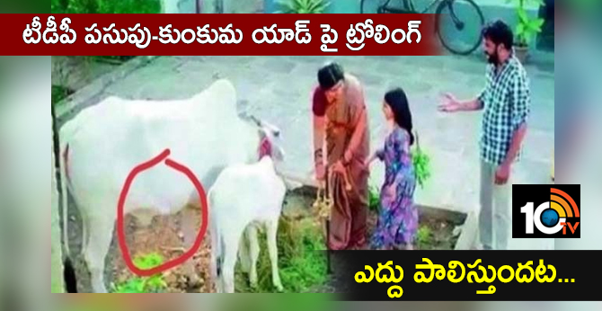 Leading TDP leaders in social media Troling on TDP party's pasupu-kunkama ad