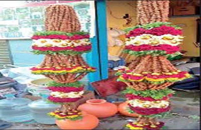Mandi MP candidate Nikhil Gowda is a 300-kg raisin  garlad In karnataka