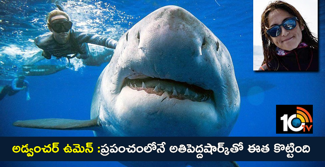అడ్వంచర్ ఉమెన్ :ప్రపంచంలోనే అతిపెద్దషార్క్తో ఈత కొట్టింది అడ్వంచర్ ఉమెన్ :ప్రపంచంలోనే అతిపెద్దషార్క్తో ఈత కొట్టింది