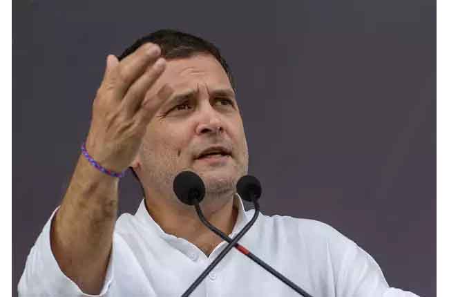 Rahul Gandhi Address Election Rallies In AP On March 31