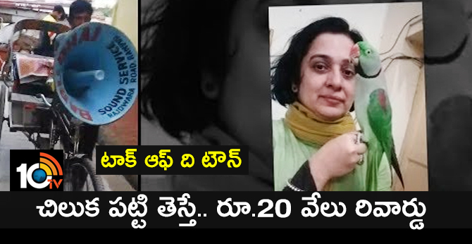 టాక్ ఆఫ్ ది టౌన్ : చిలుకను పట్టి తెస్తే.. రూ.20 వేలు రివార్డు టాక్ ఆఫ్ ది టౌన్ : చిలుకను పట్టి తెస్తే.. రూ.20 వేలు రివార్డు