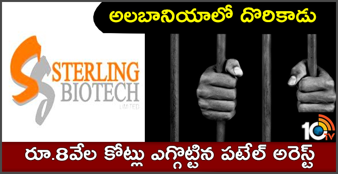 అలబానియాలో దొరికాడు : రూ.8వేల కోట్లు ఎగ్గొట్టిన పటేల్ అరెస్ట్ అలబానియాలో దొరికాడు : రూ.8వేల కోట్లు ఎగ్గొట్టిన పటేల్ అరెస్ట్