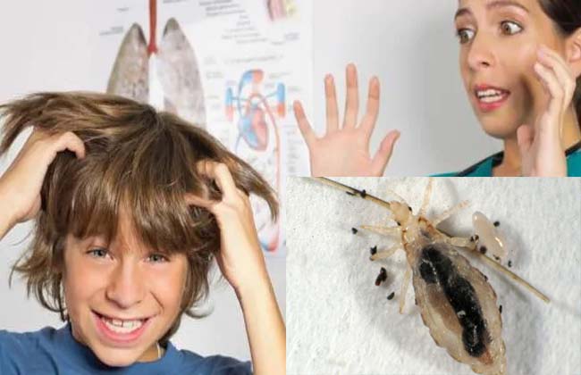 The lice is related to the smartphone to be spaced