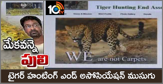 Tiger Hunting End Association S. Pimple