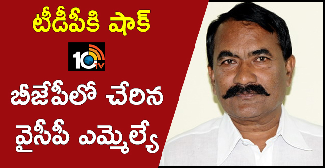 టీడీపీకి షాక్: బీజేపీలో చేరిన వైసీపీ ఎమ్మెల్యే టీడీపీకి షాక్: బీజేపీలో చేరిన వైసీపీ ఎమ్మెల్యే