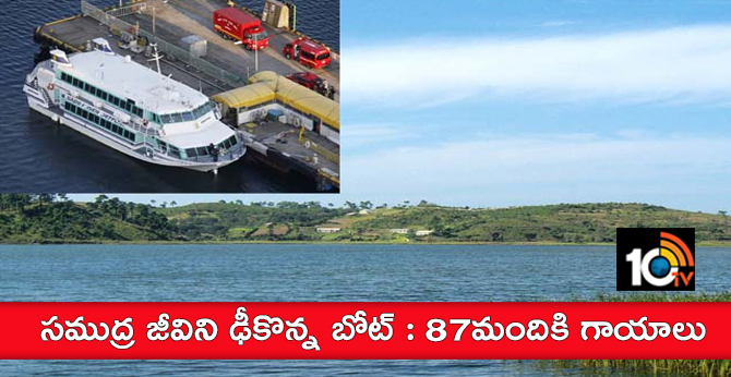 ferry accident.. collision with 'marine creature' leaves 87 injured