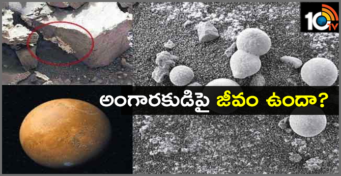 అంగారకుడిపై జీవం ఉందా ? అంగారకుడిపై జీవం ఉందా ?
