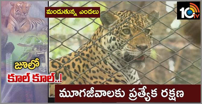 మండుతున్న ఎండలు : మూగజీవాలకు ప్రత్యేక రక్షణ మండుతున్న ఎండలు : మూగజీవాలకు ప్రత్యేక రక్షణ
