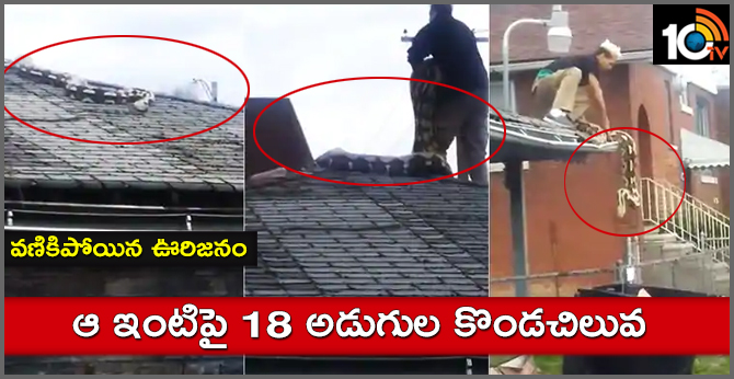 వణికిపోయిన ఊరిజనం : ఆ ఇంటిపై 18 అడుగుల కొండచిలువ వణికిపోయిన ఊరిజనం : ఆ ఇంటిపై 18 అడుగుల కొండచిలువ