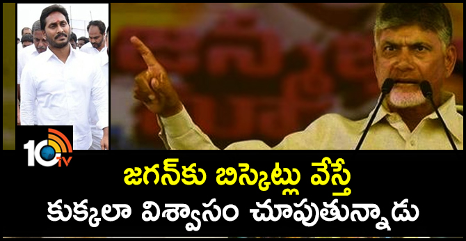 Chandrababu Slams Jagan in Election Campaign