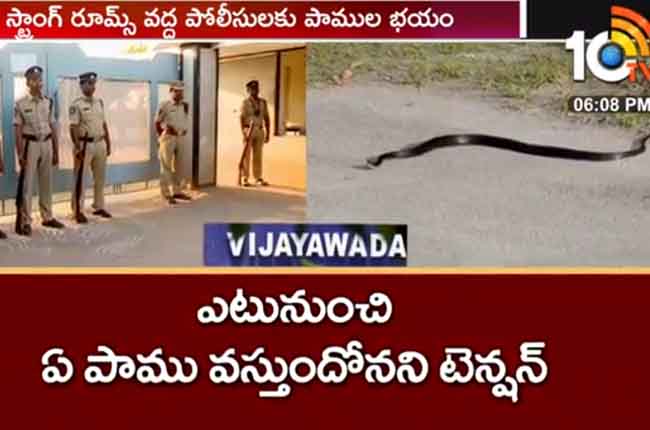 Snake Hulchal In Vijayawada Ganguru EVM's Strongroom