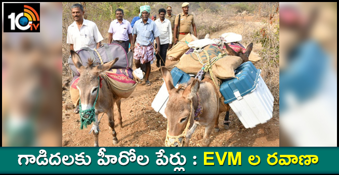 EVMs can be transmitted on donkeys