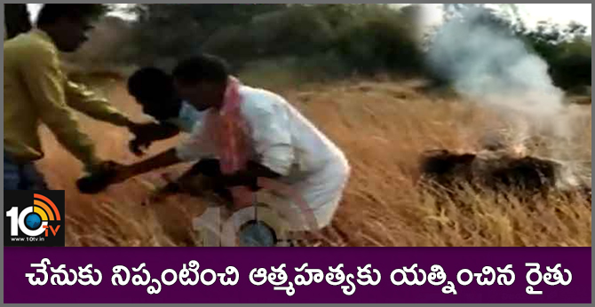 Farmer suicide at Peddapalli Dist Manthani Mandal Nagaripalli