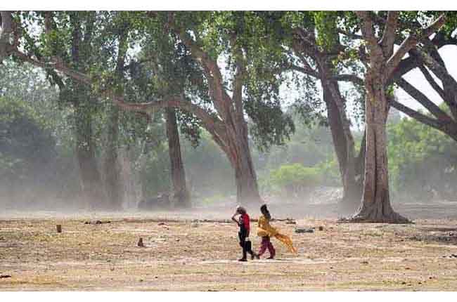 Heatwave Kills 07 In Andhra Pradesh