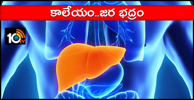 One of the most important organs in the body is the liver