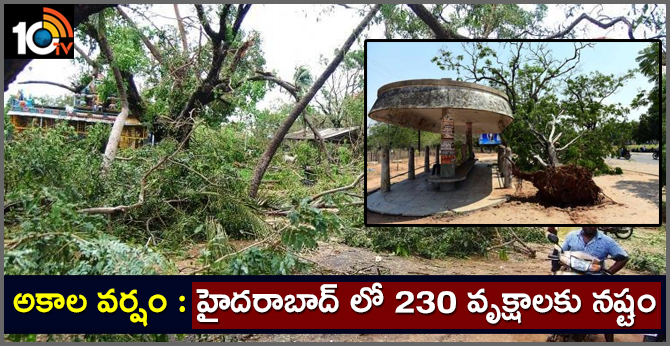 అకాల విపత్తు : హైదరాబాద్ లో 230 చెట్లు కూలిపోయాయి అకాల విపత్తు : హైదరాబాద్ లో 230 చెట్లు కూలిపోయాయి