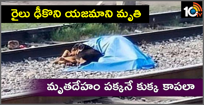 రైలు ఢీకొని యజమాని మృతి : మృతదేహం పక్కనే కుక్క కాపలా రైలు ఢీకొని యజమాని మృతి : మృతదేహం పక్కనే కుక్క కాపలా