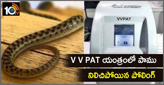 V V PAT యంత్రంలో పాము : నిలిచిపోయిన పోలింగ్ V V PAT యంత్రంలో పాము : నిలిచిపోయిన పోలింగ్