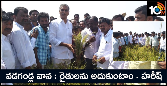 వడగండ్ల వాన : రైతులను అదుకుంటాం – హరీష్ వడగండ్ల వాన : రైతులను అదుకుంటాం – హరీష్