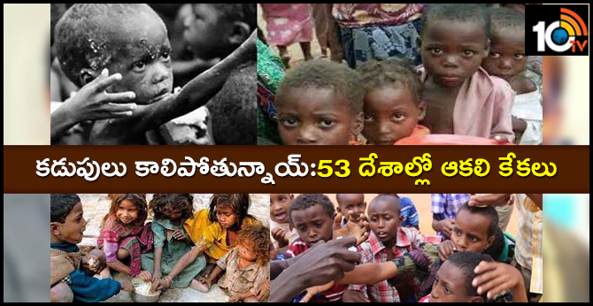 acute hunger for 11 crore people in 53 countries across the world