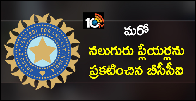 bcci announced 4 more players for world cup