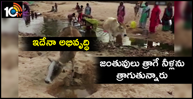 ఇదేనా అభివృద్ధి : జంతువులు త్రాగే నీళ్లను త్రాగుతున్నారు ఇదేనా అభివృద్ధి : జంతువులు త్రాగే నీళ్లను త్రాగుతున్నారు