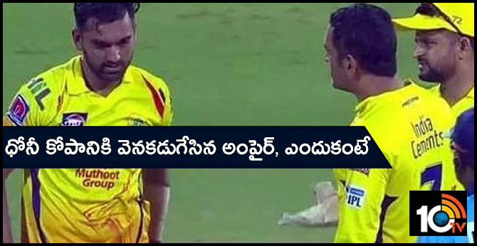 ms dhoni fired on chahar, umpire got fearness