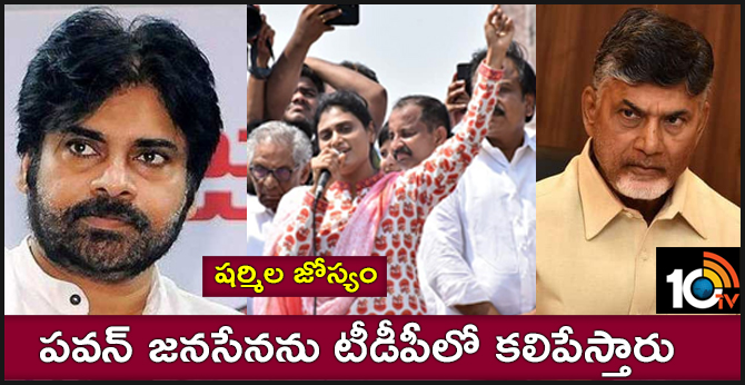 షర్మిల జోస్యం : పవన్ జనసేనను టీడీపీలో కలిపేస్తారు షర్మిల జోస్యం : పవన్ జనసేనను టీడీపీలో కలిపేస్తారు