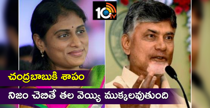 sharmila speaks about chandrababu curse