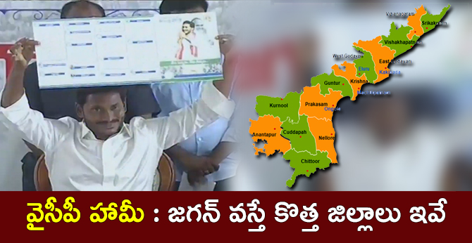 ysr congress manifesto, 25 district in andhra pradesh