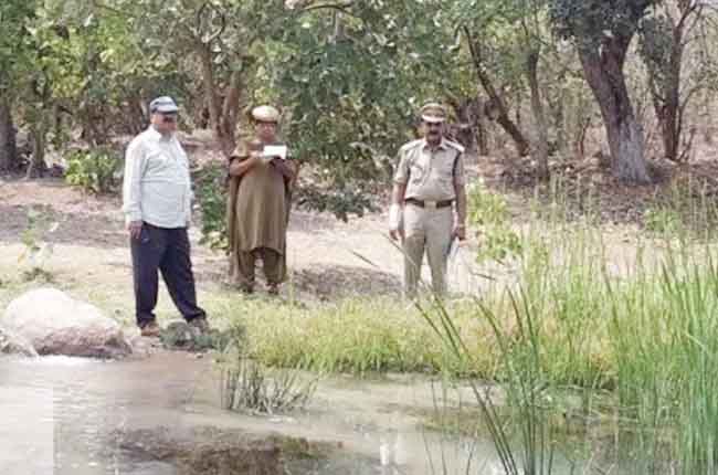 Census For Animals Conducted In Telangana Forest Areas
