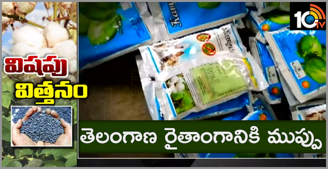 BG-3 seeds Dangerous to telangana farmers