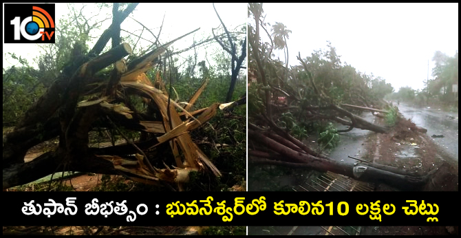 Bhubaneswar loses over one million trees