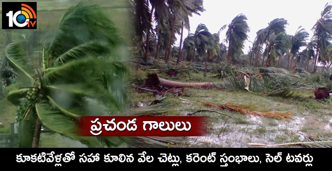 ప్రచండ గాలులు : కూకటివేళ్లతో సహా కూలిన వేల చెట్లు, కరెంట్ స్తంభాలు, సెల్ టవర్లు ప్రచండ గాలులు : కూకటివేళ్లతో సహా కూలిన వేల చెట్లు, కరెంట్ స్తంభాలు, సెల్ టవర్లు