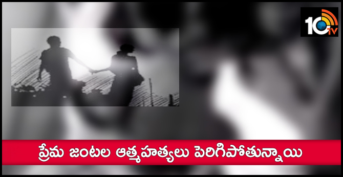 Increasing love couples suicides