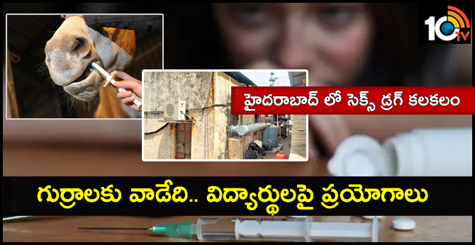 హైదరాబాద్ లో సెక్స్ డ్రగ్ కలకలం : గుర్రాలకు వాడేది.. విద్యార్థులపై ప్రయోగాలు హైదరాబాద్ లో సెక్స్ డ్రగ్ కలకలం : గుర్రాలకు వాడేది.. విద్యార్థులపై ప్రయోగాలు