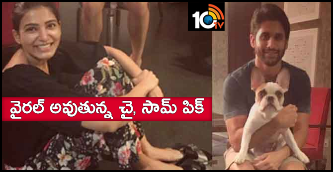 వైరల్ అవుతున్న చై, సామ్ పిక్ వైరల్ అవుతున్న చై, సామ్ పిక్