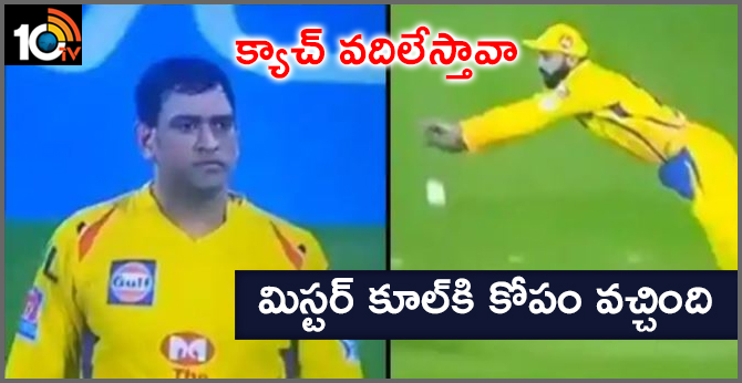 MS Dhoni Gets Angry on Murali Vijay After Catch Drops