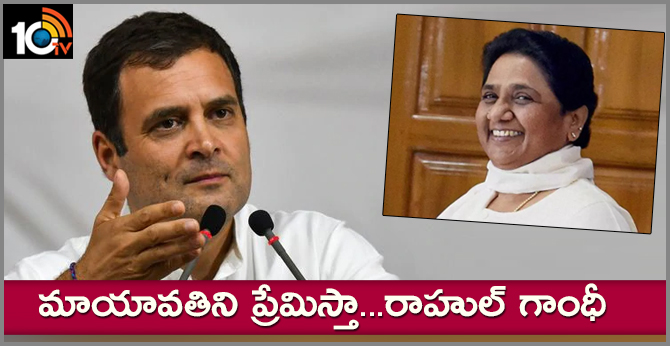 మాయావతిని ప్రేమిస్తా…రాహుల్ గాంధీ మాయావతిని ప్రేమిస్తా…రాహుల్ గాంధీ