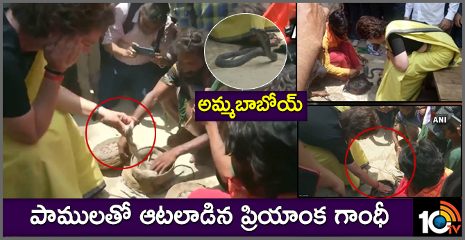 Priyanka Gandhi Vadra meets snake charmers in Raebareli, holds snakes in hands