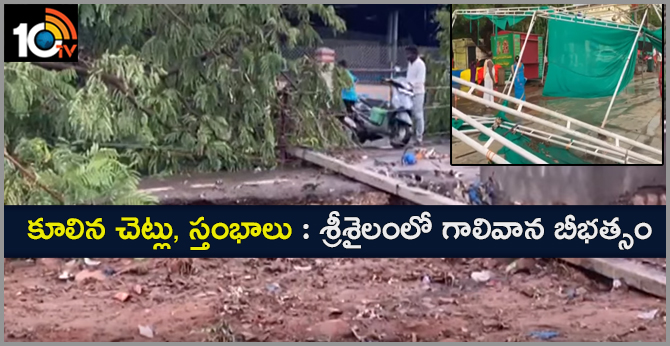 కూలిన చెట్లు, స్తంభాలు : శ్రీశైలంలో గాలివాన బీభత్సం కూలిన చెట్లు, స్తంభాలు : శ్రీశైలంలో గాలివాన బీభత్సం