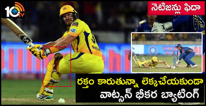 నెటిజన్లు ఫిదా: రక్తం కారుతున్నా లెక్కచేయకుండా.. వాట్సన్ భీకర బ్యాటింగ్ నెటిజన్లు ఫిదా: రక్తం కారుతున్నా లెక్కచేయకుండా.. వాట్సన్ భీకర బ్యాటింగ్