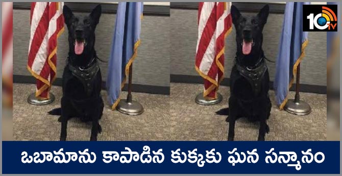 A US secret service dog that saved former US President Obama is honored with an award