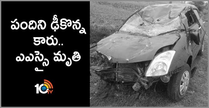 Car collided with a pig.. ASI died
