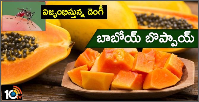 Increase papaya fruit price In Hyderabad
