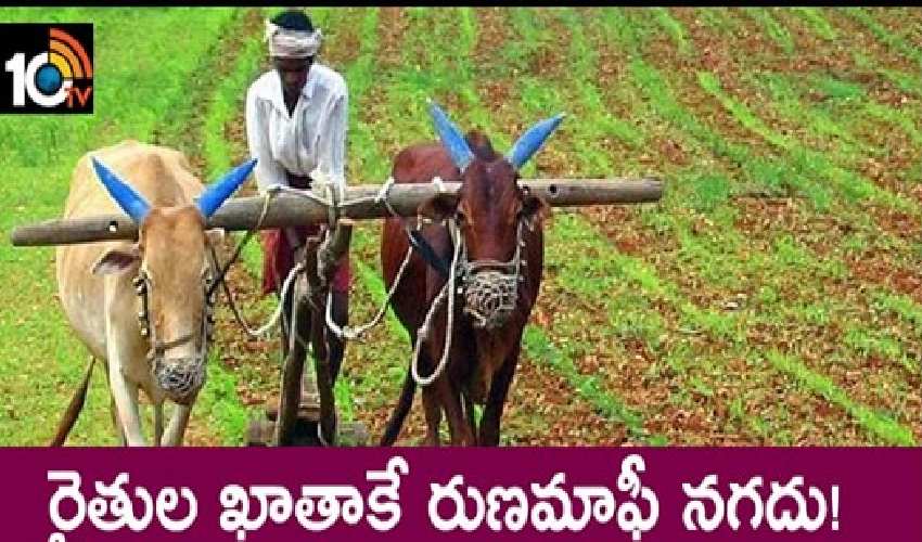 రైతుల ఖాతాకే రుణమాఫీ నగదు! రైతుల ఖాతాకే రుణమాఫీ నగదు!