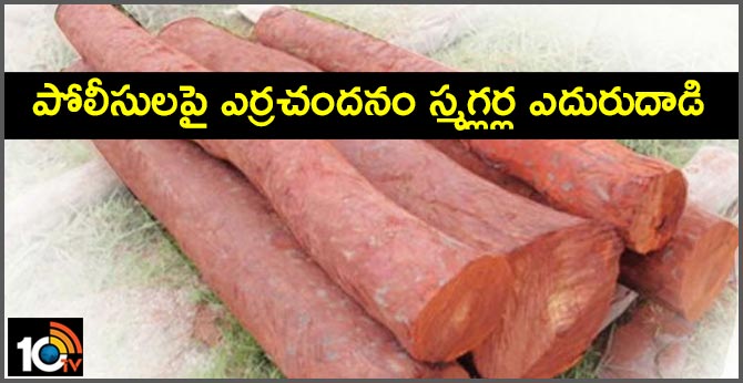 Red Sandalwood smugglers counter attack on police In Chittoor Seshachalam forests