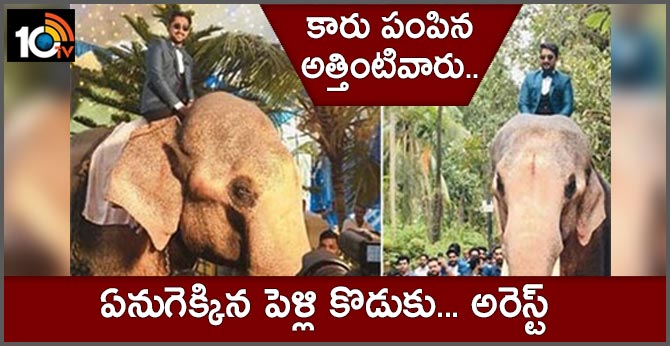bridegroom mounts elephant for wedding photo session, courts trouble at kerala