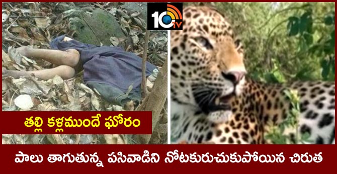 3-year old boy dies after leopard attacks him in uttarakhand