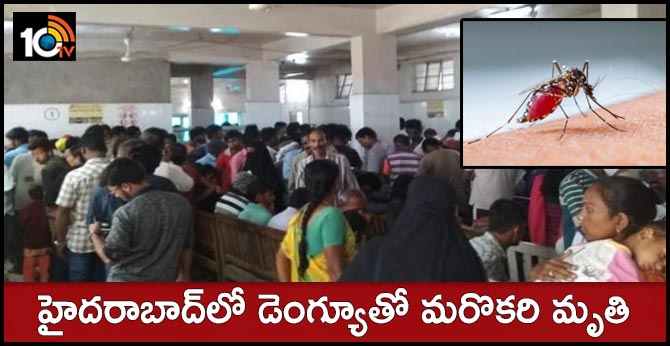 హైదరాబాద్లో డెంగ్యూతో మరొకరి మృతి హైదరాబాద్లో డెంగ్యూతో మరొకరి మృతి